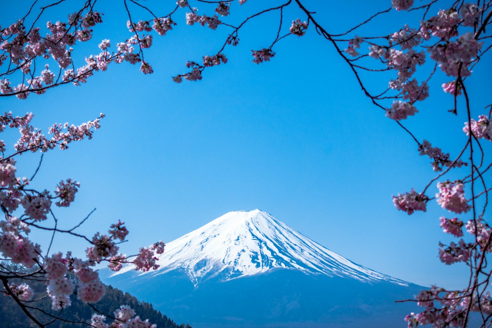 Japan travel guide