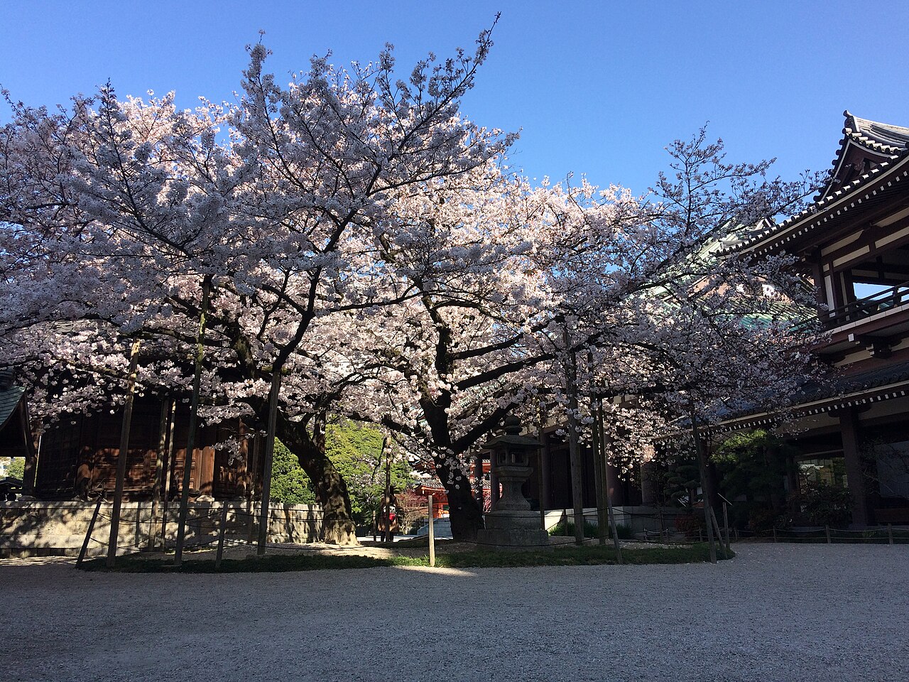 Tochoji Temple (Fukuoka Great Buddha), Hakata Old Town, Fukuoka