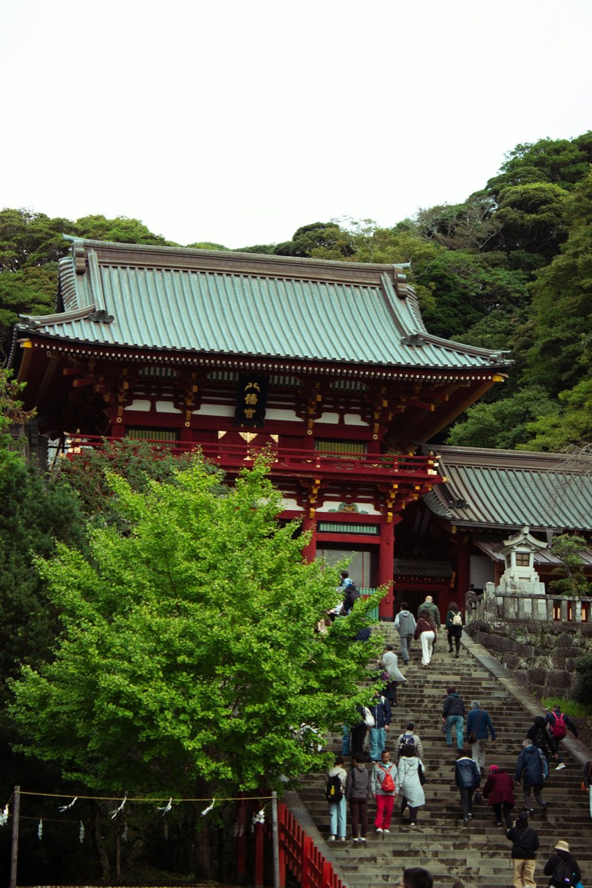 Tsurugaoka Hachimangū, Kamakura Center, Kamakura