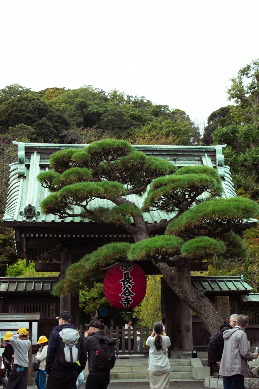 Hasedera, Hase, Kamakura