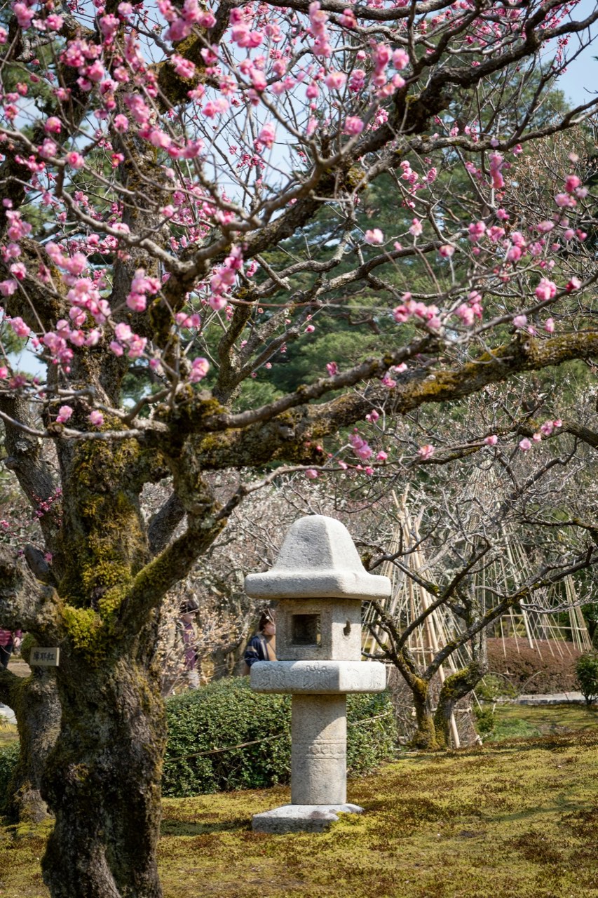 Kenrokuen Garden, Kenrokuen, Kanazawa