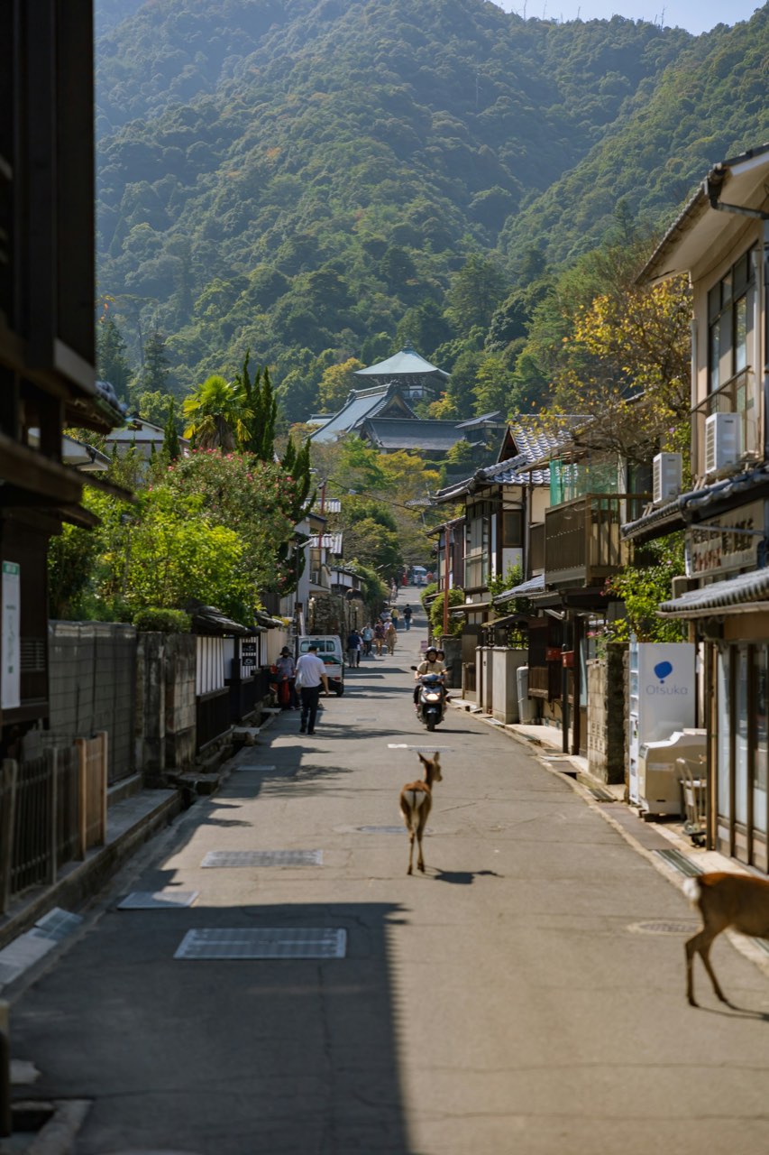 Naramachi Old Town, Naramachi, Nara