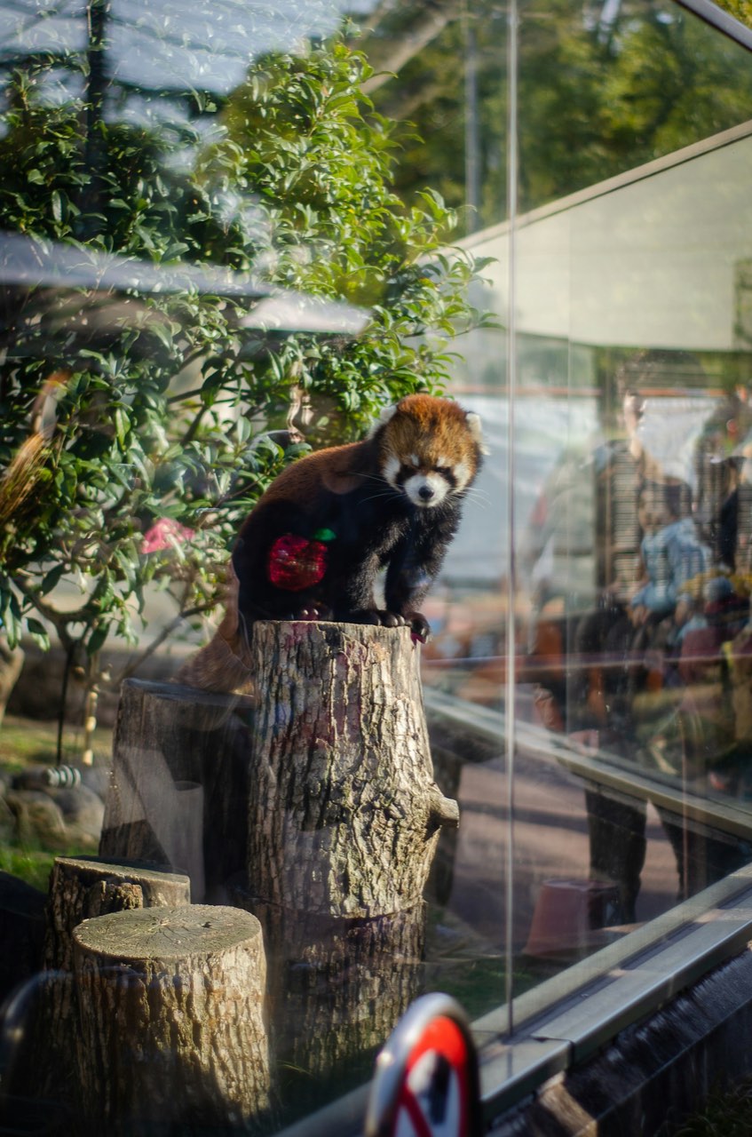 Tennoji Zoo, Tennoji Shinsekai, Osaka