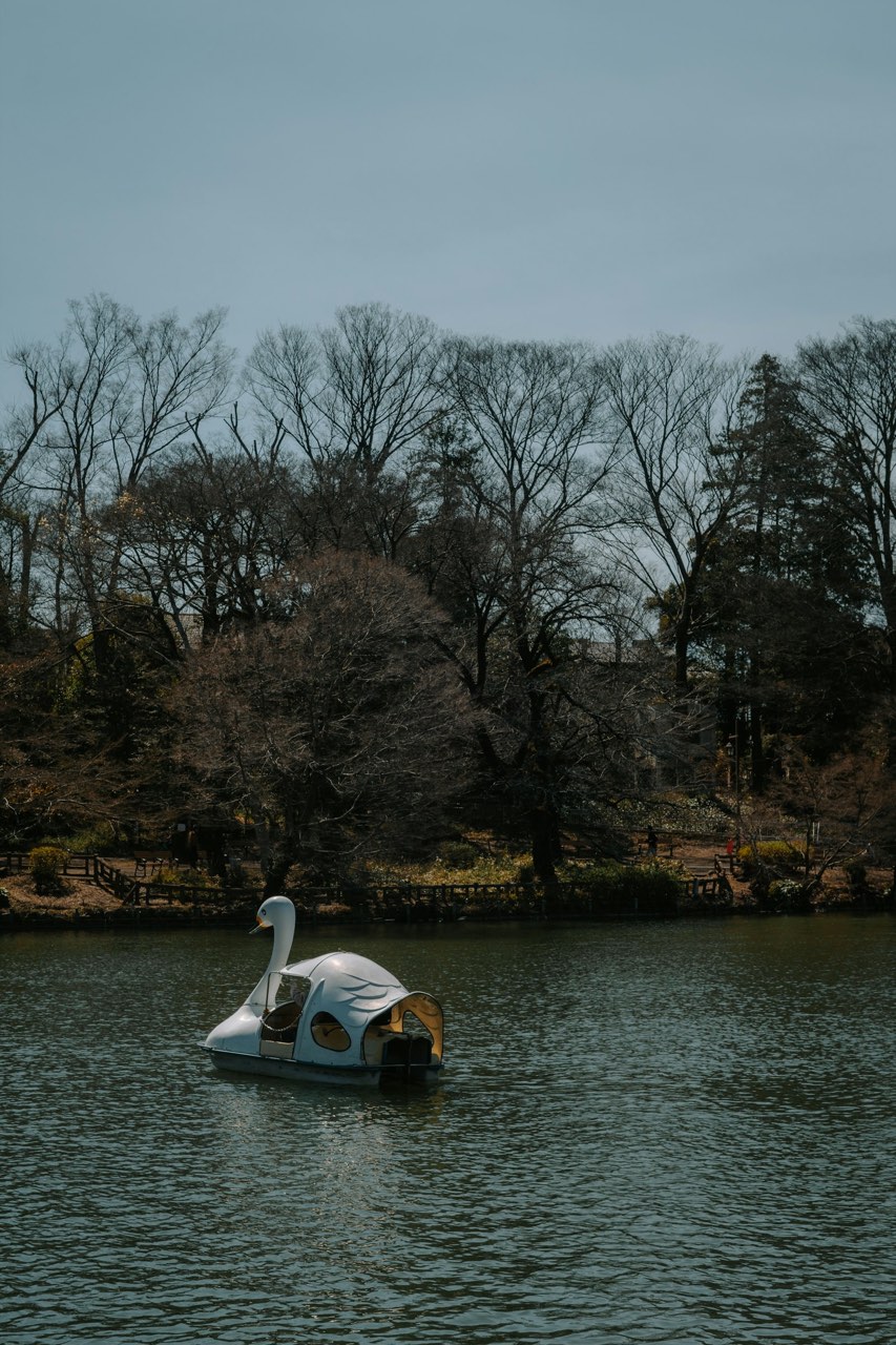 Inokashira Park, Kichijoji, Tokyo