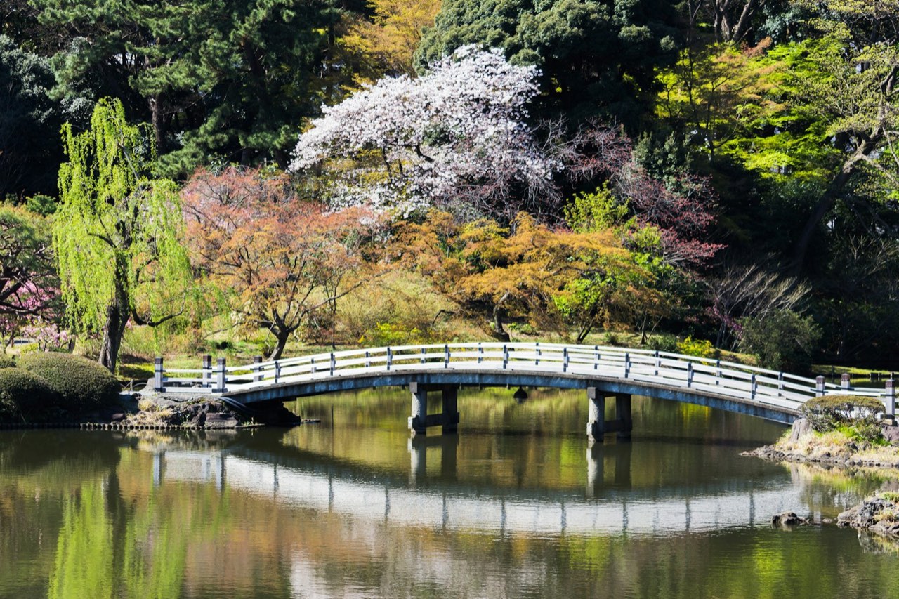 Shinjuku Gyoen, Shinjuku, Tokyo