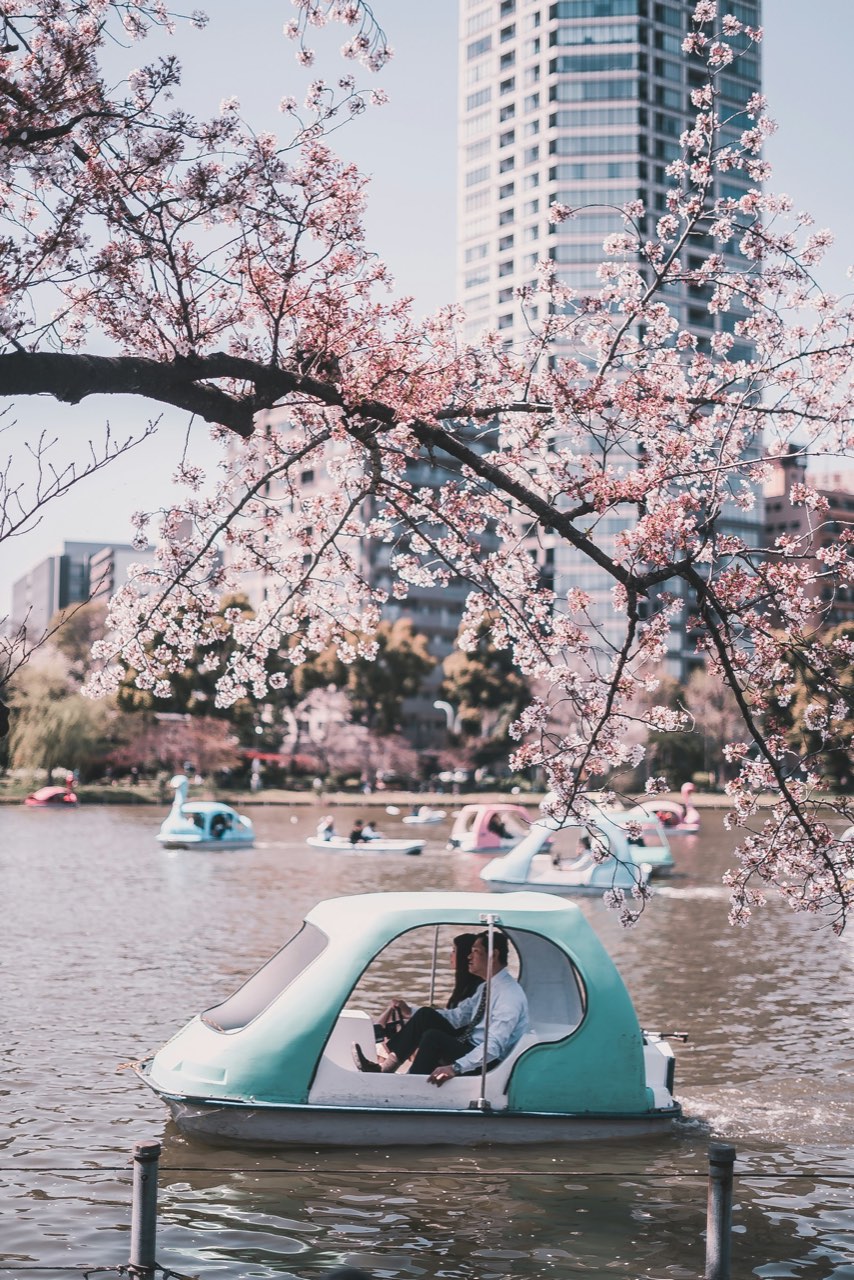 Ueno Park, Ueno, Tokyo