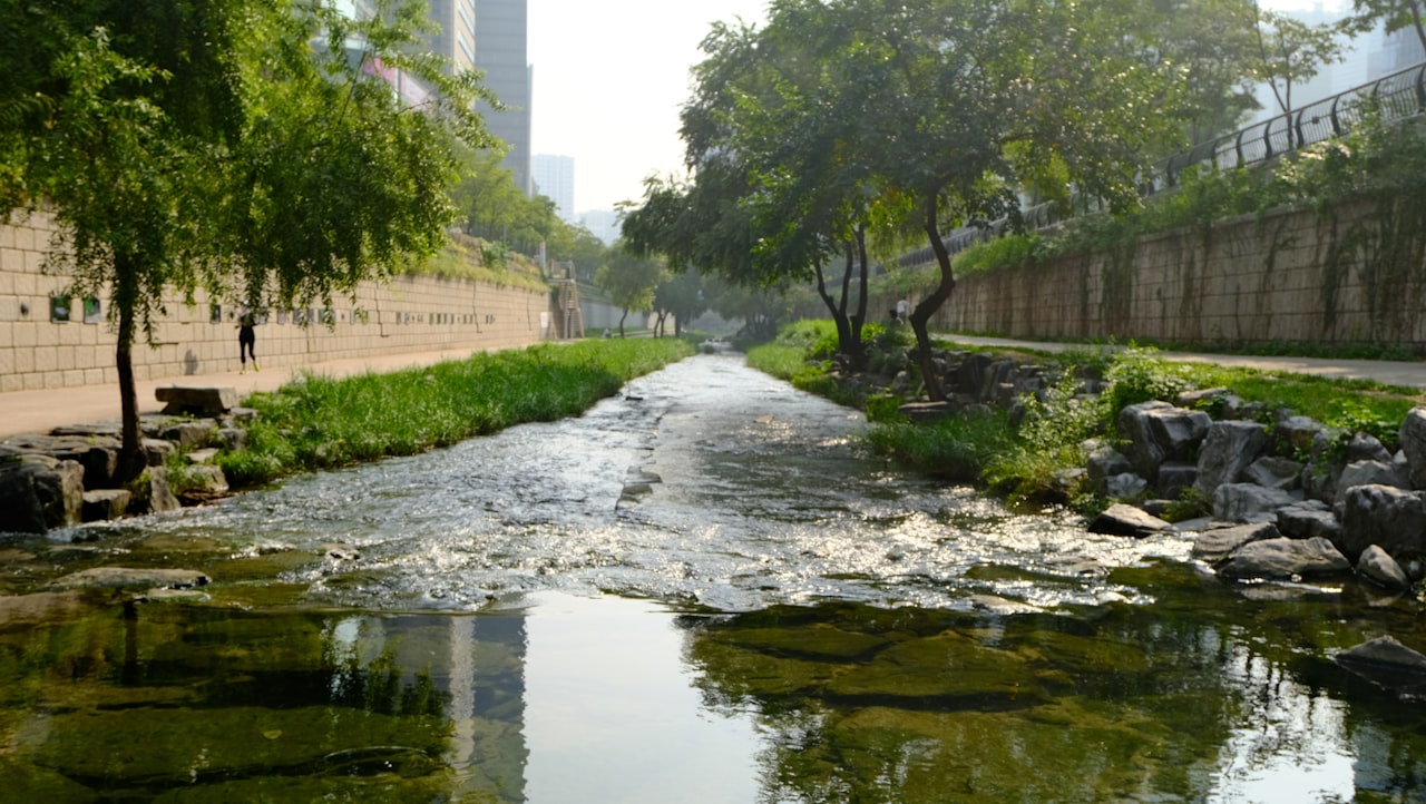 청계천 (청계광장), Jongno, Seoul