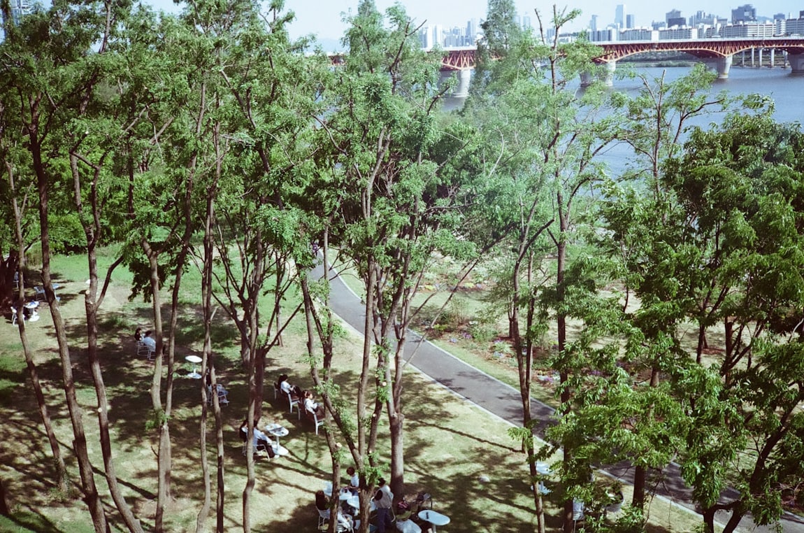 서울숲, Seongsu, Seoul