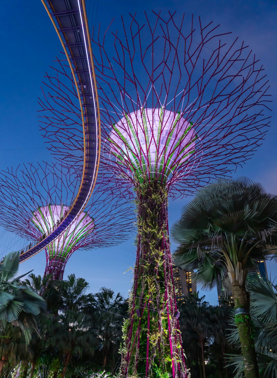 Gardens by the Bay – Supertree Grove (Outdoor Gardens), Marina Bay, Singapore