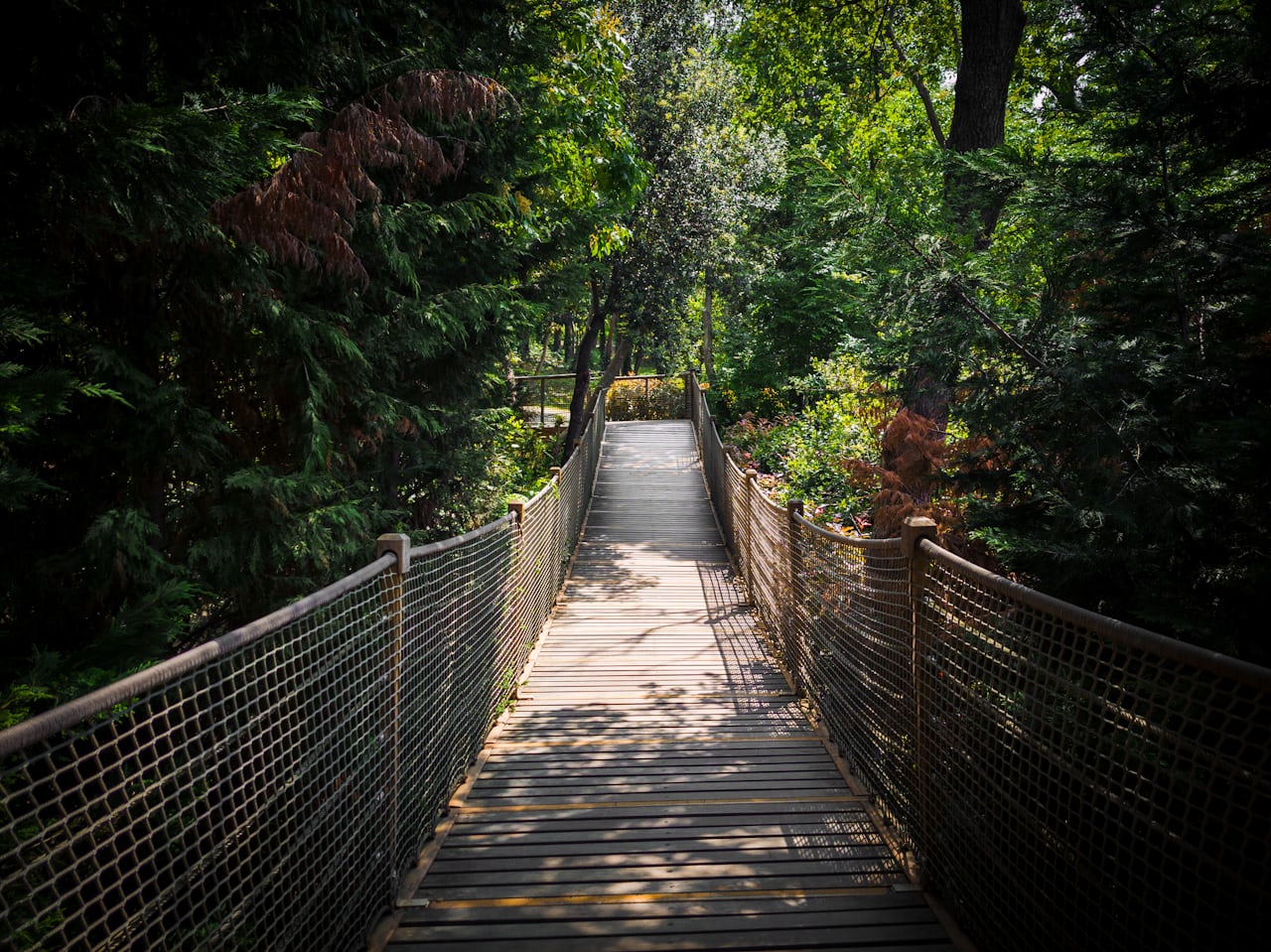 Yıldız Park, Besiktas, Istanbul