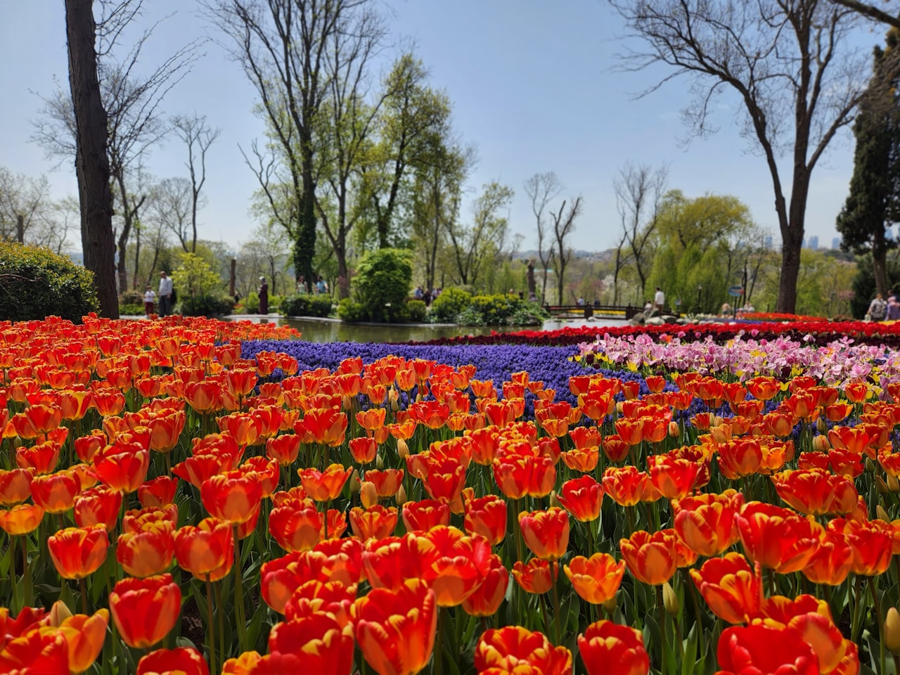 Emirgan Park, Sariyer, Istanbul