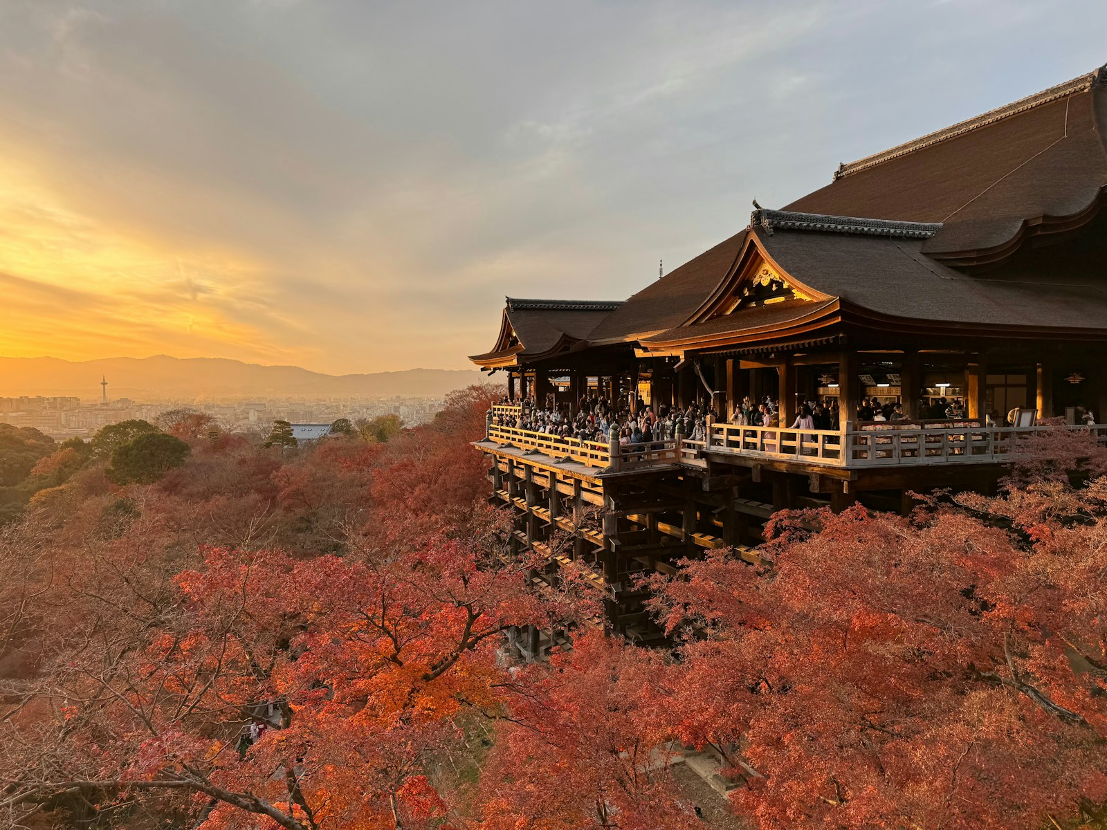 Kyoto in Herbstlaub – 3 Tage Ahorn-Tempel
