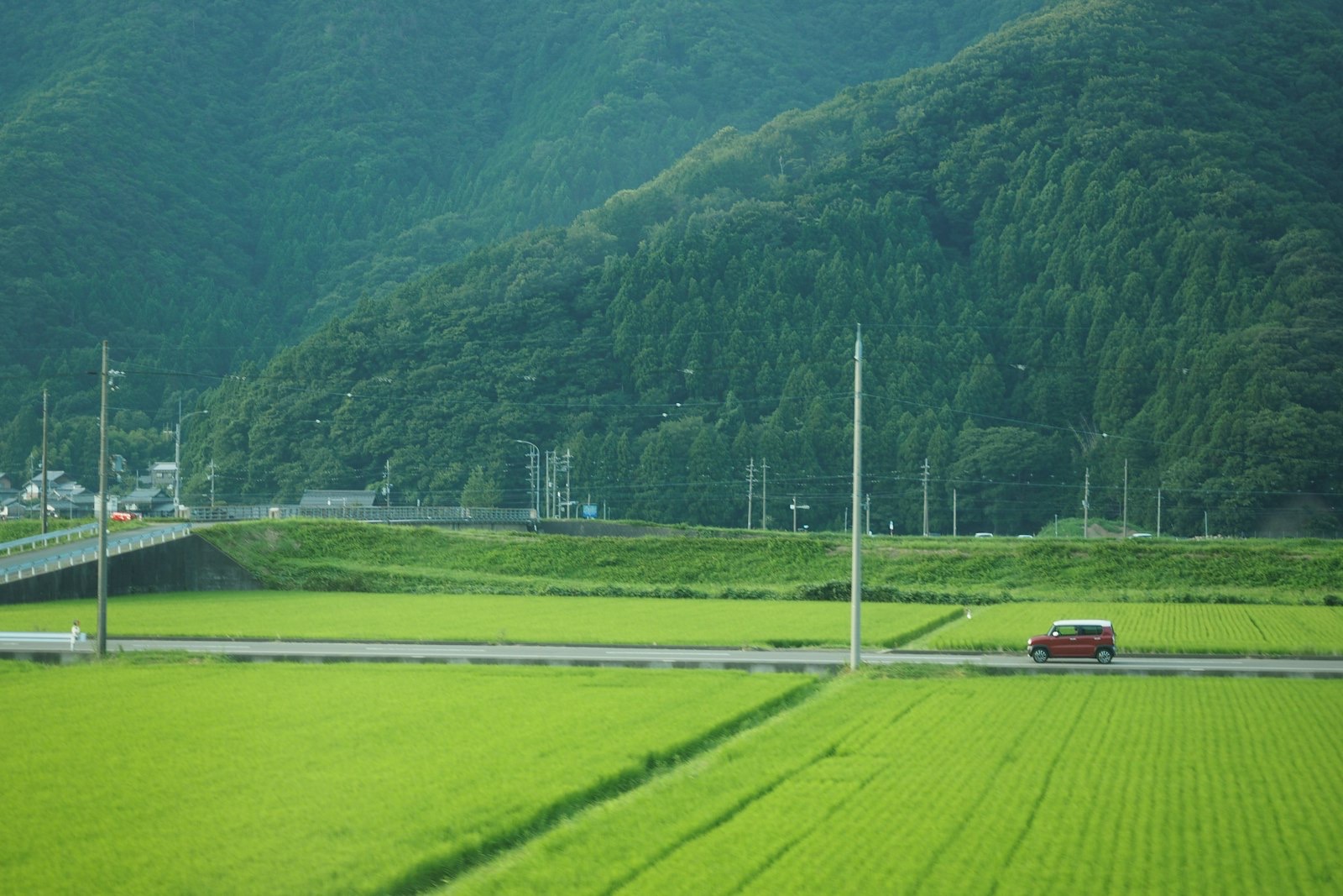 Kyoto, Himeji & Hiroshima — castles, the floating torii and Peace Park in 6 days