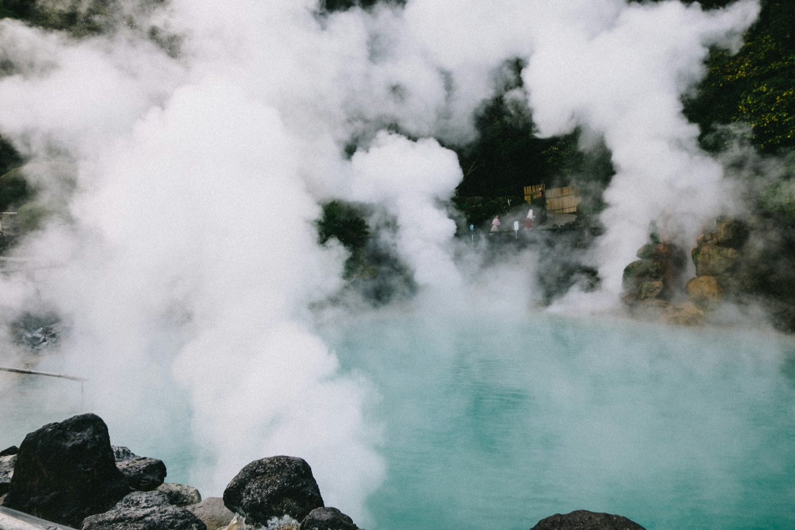 Nature & onsen — Tokyo, Hakone & Fuji