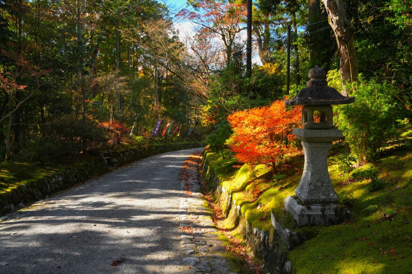 Tokyo, Kanazawa & Kyoto — gardens, gold leaf and geisha districts in 8 days